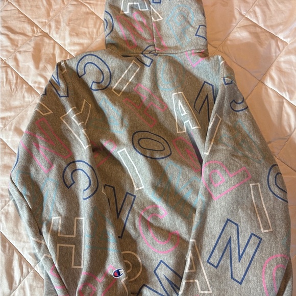 Champion Gray Hoodie with Colorful Accents - Picture 2 of 3
